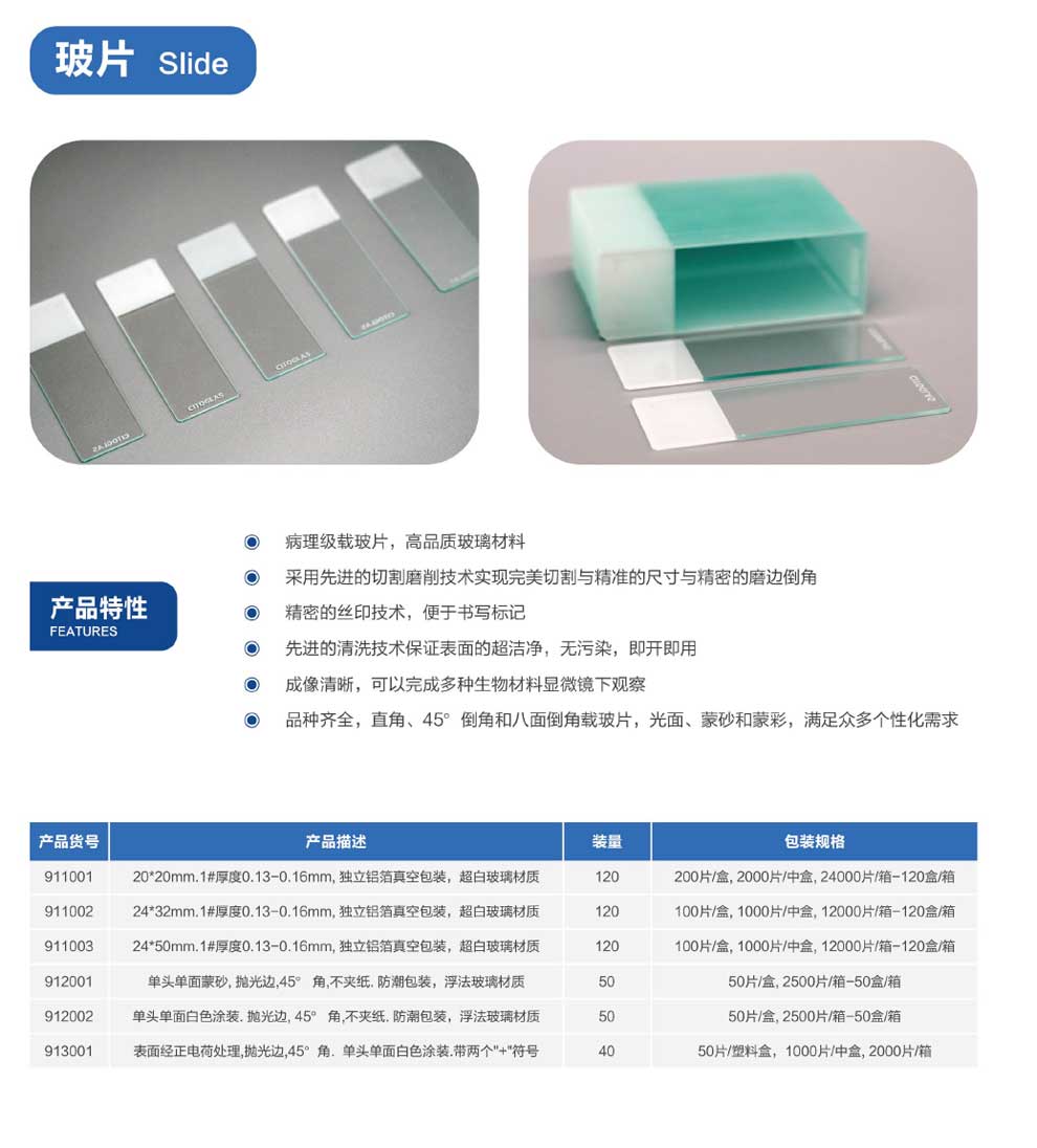 玻片系列-彩2.jpg